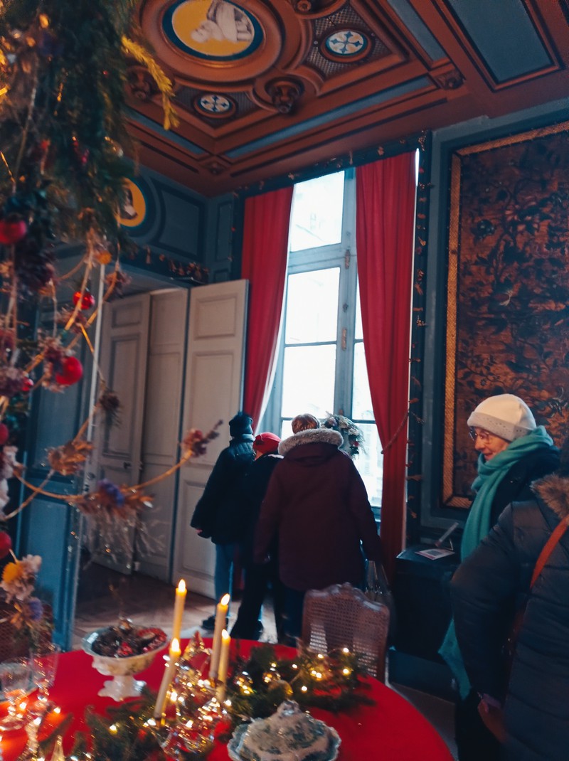 Sortie de Noël au château de La Bussière 2024