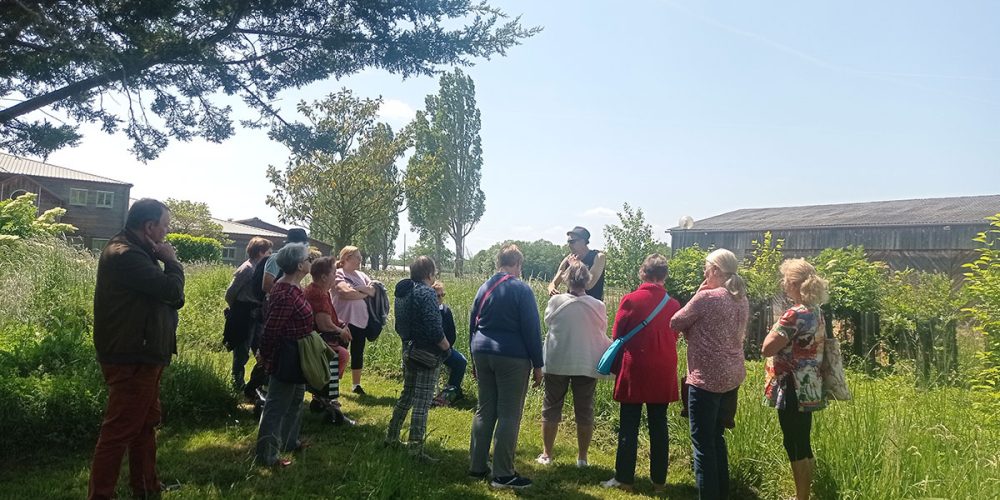 Coin Seniors : visite de la Ferme de Marrault