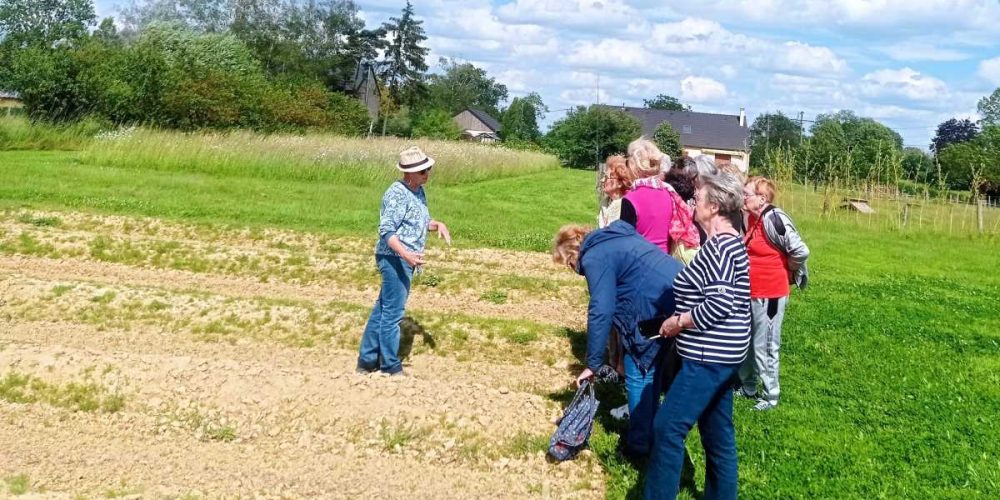 Seniors : Ateliers Bons Jours et visite de la safranière d’Alluy