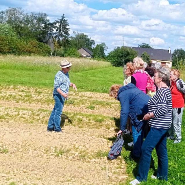 Seniors : Ateliers Bons Jours et visite de la safranière d&rsquo;Alluy