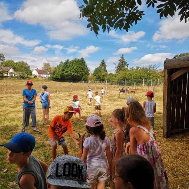 Journée à Brinon sur Beuvron