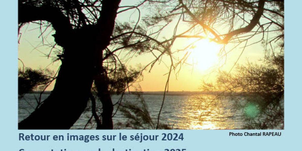 Temps d’échange le mercredi 27 novembre 2024 à 17h