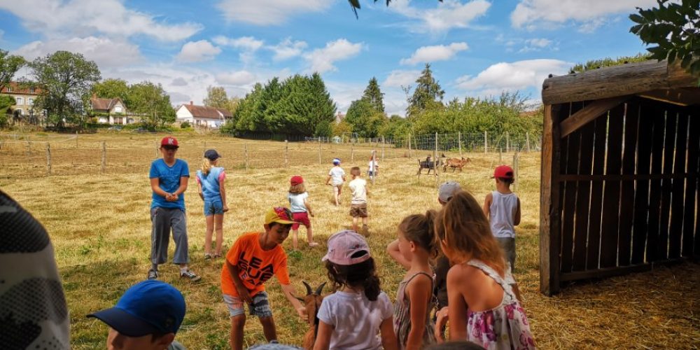 Journée à Brinon sur Beuvron